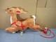 Vintage Empire 35 Santa Reindeer Blow Mold For Santa Sleigh Reindeer (a)