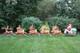 Vintage Empire Santa Claus Sleigh Blowmold 9 Reindeer Rudolph Complete Set Htf