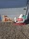 Vintage Grand Venture Santa And Sleigh With Reindeer Blow Mold With Lights