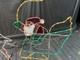Vintage Mr. Christmas Holiday Lights Sculpture Santa & Sleigh & Reindeer 3d Lawn