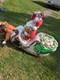 Vintage Santa Sleigh With 2 Reindeer Christmas Decor Large Blow Mold General Foam